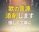 音源添削～優しく丁寧にボーカルアドバイスします 高音・音程・リズム改善・抑揚・発声・カラオケアドバイス イメージ1