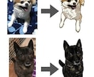 写真から可愛いペットの似顔絵を描きます かわいいうちの子の魅力をイラストに！アイコン・記念用に！ イメージ4