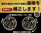 オークション向け細工物マクロ写真等倍写実補正します オークション出品向け微細写真補正・単枚 イメージ1