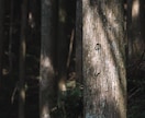 前世を知り、そして今すべきこと教えます 真剣な鑑定です。人生を好転させたい人だけご覧になってください イメージ1