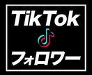 TikTokフォロワー増えるまで拡散宣伝します フォロワー5000人〜圧倒的ボリュームと圧倒的最安値！ イメージ2