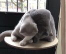 指定された1週間のアドバイスを占います 毎日の幸運になる鍵を探しているあなたへ イメージ7