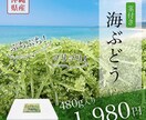 EC商品画像を7枚作成します 楽天・Yahoo!・Amazonなどの商品ページ画像デザイン イメージ3