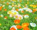 女性限定♡ともにい☺︎がどんな話でも相手になります 気軽にラフな感じでどなたでもどうぞ♪ イメージ9