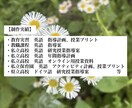 英語の授業、作ります 全ての英語科の先生方へ。より良い授業設計を目指しましょう。 イメージ2