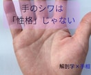 写真1枚から気になる手相を1つ鑑定します 解剖学の視点で「なぜその線があるのか」までお伝えします イメージ1