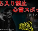 サムネイル１枚1000円！　即日対応・即納品します 今どきのサムネイルならお任せください！ イメージ5