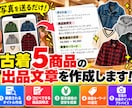 古着5商品の出品文章を作成します 写真を送るだけ｜タイトル・説明文・価格目安までまとめて提案 イメージ1