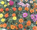 1日チャット＊あなたの心にじっくり寄り添います 孤独｜不安｜恋愛｜通話が苦手な方もお気軽にお話しくださいね♡ イメージ3