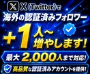 Twitter拡散！認証済みフォロワー増やします X(ツイッター)認証済みフォロワー【最大2000人まで対応】 イメージ7
