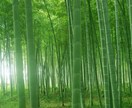しごとのストレス専門 心理カウンセリングします しごとのストレスから体調不良になってしまったあなたをフォロー イメージ2