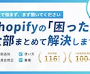 Shopify相談｜機能追加・不具合等相談乗ります 機能追加、不具合修正、使い方、マーケティング相談など イメージ1