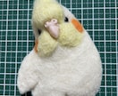 羊毛フェルト世界に一つ小動物ペットブローチ作ります 羊毛フェルトで作製します。オンリーワンをあなたに^_^ イメージ6