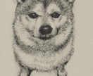 ペットの似顔絵描きます 愛ペットの似顔絵いかがですか？原画お送ります！ イメージ1