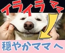脱激怒イライラママ。穏やかなママへの変身手伝います 消えたい/泣きたい/逃げたい/ママの味方★感情コントロール イメージ1