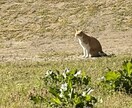 楽しくお話しませんか？色々有ります何でも聞きます お気軽にどうぞ！落ち込んだ夜になって笑える相手 イメージ2