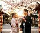鳳凰様が不倫相手の本音とこの関係の終着点を伝えます 迷い続ける不倫に、今日で結論を出します イメージ5