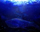 ヘッダーやホーム画像、背景画像描きます 空をメインとした風景を描きます イメージ1
