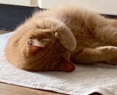 トップ営業マンが営業せずに相談/愚痴のります 最大1時間！愚痴、悩み、人間関係のアドバイス受付中！ イメージ4
