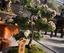 気軽にお話しましょー！ます 毎日お疲れ様です！精一杯向き合ってお電話させていただきます！ イメージ4