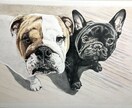 ペット似顔絵2匹描きます 貴方の愛するペット２匹一緒に描きます。人物とペットでもOK イメージ1