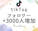 TikTokフォロワー3000人宣伝で増やします お得にコスパよくティックトックのフォロワーを増加成長させよう イメージ1