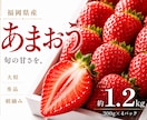 バナー・WEB画像【1枚3,000円】で作ります 伝わるだけじゃない。反応を生むWEB画像を。 イメージ2