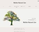 SEOに強いWordPressサイトを制作します 【2022年10月1サイト限定】赤字覚悟の大サービス！ イメージ2