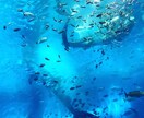 人生に悩んでる方様々な悩みにお答えします 知人には話せない悩み様々な悩みにお答えさせて頂きます。 イメージ1