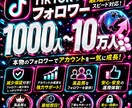 TikTokフォロワー＋1000人人増加します 高品質！2000円TikTokオプションで100000人増加 イメージ1