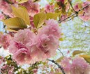 100%あなたを肯定して話を聞きます 悩み苦しみ不安生きづらさ抱えてる事全て吐き出しませんか？ イメージ3