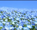 看護師と話たい方✨5分でも♫楽しくお話します 看護師歴20年、大学病院、メンタルクリニック勤務お話伺います イメージ6