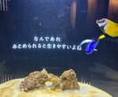 気楽にお話しましょ⭐︎あなたの気持ちに寄り添います おしゃべりで気持ちが晴れる時もある！最後には笑顔で♫ イメージ2