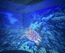 VRゴーグル不要の全員参加型VRを提案します 360°動画再生に最適なVRプロジェクターを使用したイベント イメージ4