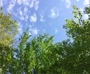 チャネリングや霊視でご相談やお悩みにお答えします 今後どうなるか未来がみたい方や人の気持ちを知りたい方にぜひ♡ イメージ1