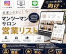 厳選！マンツーマンサロンリストを売ります インスタ運用・Web制作・LINE構築向け【１万件】 イメージ1
