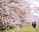 お気に入りの写真、甦らせます お写真のレタッチや余計な写り込みを消します！ イメージ4