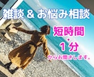 雑談や悩み相談、短時間から歓迎します 婚約破棄で裁判も、経験豊富な癒し系と話しませんか？今すぐOK イメージ1