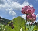 あなたの心の奥にあるモヤモヤの種を見つけて癒します 現役ナースひかりの『心の健康・相談室』心の傷を癒します！ イメージ3