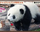 WEB広告になります サムネイル、BANNERなど広告を作成いたします。 イメージ3