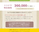 ShopifyでECサイトを制作いたします 日本語サイト向けテンプレートでShopifyサイトを制作 イメージ3