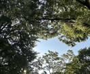 エネルギーから高次元へチャネリング✴︎鑑定します 同業者様歓迎⭐︎潜在意識にアクセスして本来の願望実現へ✴︎ イメージ1