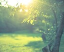 あなたの魂からのメッセージをお伝えします☆第3の目で見ます イメージ2