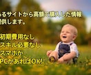 あるサイトで高額で購入した商材を公開！教えます 初期費用なし　スキル必要なしスマホかパソコンがあればOK イメージ1
