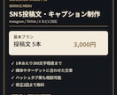 SNSの投稿文を作成します Instagram・TikTok・Xに対応 イメージ2