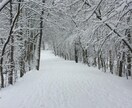 海外留学、ワーホリ〜国際恋愛までご相談乗ります トロント留学、ワーホリ、就職、永住から〜国際恋愛まで イメージ4