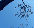 どんな文章や言葉でも、感想をお返しします ただ、先入観なく、感想をいうだけ イメージ1