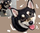 カスタマイズペット写真キャラクターデザインます 手描きペットアイコンq版漫画写実肖像絵画カスタマイズ イメージ8