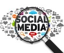 ツイッターフェイスブックのアカウントを育てます 効率的効果的なアフィリエイトのやり方もお教えします。 イメージ1