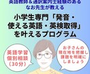 小学生のお子さんの英語のお悩みを解決します お子さんの英語の現在地をヒアリング、課題と解決法を明確に イメージ1